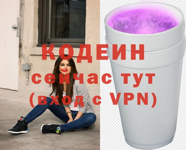 дмт Богданович